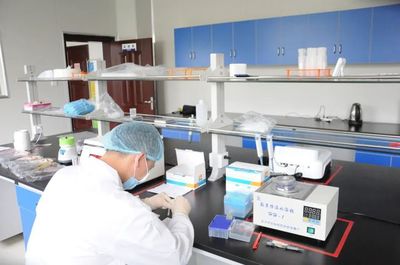 黄梅县市场监督管理局食品快检服务中心11月22日-26日检测结果公示