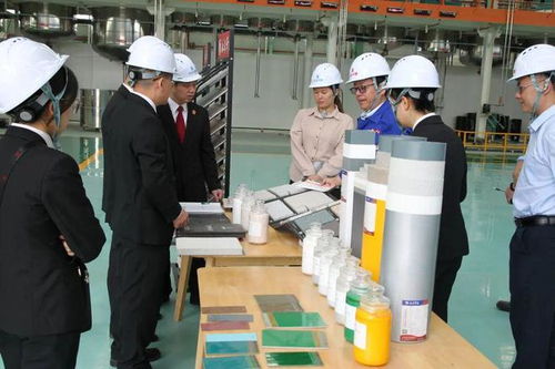 立足知识产权保护，协同企业创新发展——江州区法院举办新材料技术研发领域知识产权保护宣讲座谈会