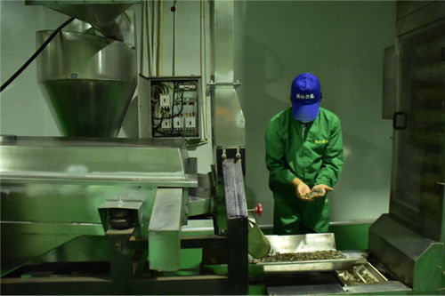 石油工人心向党 服务人民办实事——新材料技术研发助力能源产业高质量发展